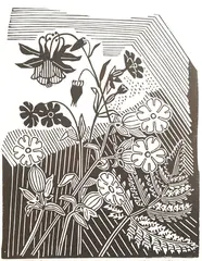 Campions and Columbine by Edward Bawden, linocut, sold Aug 2025