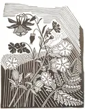 Campions and Columbine by Edward Bawden, linocut, sold Aug 2025