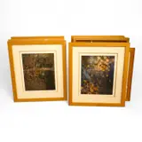 Still lifes and studies of trees by Valda Bailey, pencil, sold Aug 2025