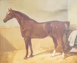 Study of a chestnut hunter in a stable by Edwin May Fox, oil on canvas, sold Jul 2025