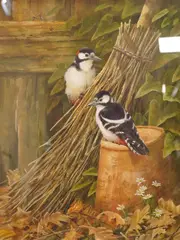 Great spotted woodpeckers by Neil Cox, watercolour, sold Jul 2025