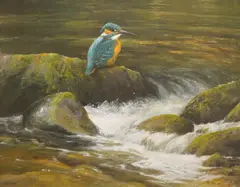 Study of a kingfisher beside a waterfall by Neil Cox, watercolour, sold Jul 2025