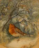 Study of a robin in winter by Ernest Henri Griset, watercolour, sold Jul 2025