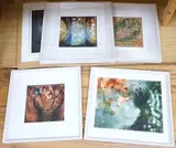 New Shoots by Valda Bailey, pencil, sold Jul 2025