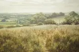 Wild Meadow landscape by David Dipnall, oil on canvas, sold Jul 2025