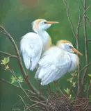 Study of egrets by Luyuan Qing, oil on canvas, offered Jul 2025