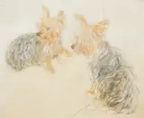 Study of two Yorkshire terriers by Neil Forster, pastel, sold Jul 2025