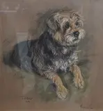 Study of a terrier named Jody by Marjorie Cox, 1989, pastel, offered Jul 2025