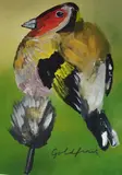 Studies of birds to include Redstart by Vic Reeves, print, sold Jun 2025