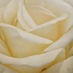 Study of a flower by Hugo Somers, oil on canvas, offered Jun 2025