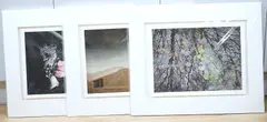 Photographic p by Valda Bailey, pencil, sold Jun 2025