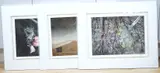 Photographic p by Valda Bailey, pencil, sold Jun 2025