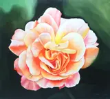 Study of a flower with water droplets by Editha von Clee, oil on canvas, offered Jun 2025