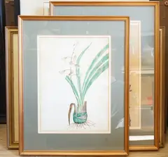 Flowers by T. Robins, watercolor, sold May 2025