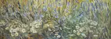 May Flowers by Sheila Angus, oil on board, sold May 2025