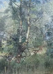 Landscape with tree and magpies by Brian Nolan, watercolour, sold May 2025