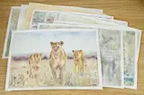 Ten watercolours on card by Baris Ali Kibar, watercolor, offered May 2025