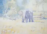 Caught in the act! by Hazel Soan, watercolour, offered Apr 2025