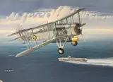 Fairey Swordfish MKI by Mike Bailey, acrylic, offered May 2026