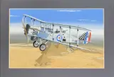 De Havilland DH-9 RAF by Mike Bailey, acrylic, sold May 2026
