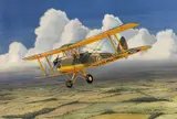 Tiger Moth by Mike Bailey, acrylic, sold May 2026