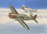 Republic P47 Thunderbolt USAAF Formation by Mike Bailey, gouache, sold May 2026
