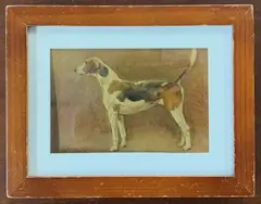 Side profile study of a Foxhound by Thomas Ivester Lloyd, oil on board, sold Apr 2026