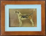 Side profile study of a Foxhound by Thomas Ivester Lloyd, oil on board, sold Apr 2026