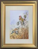 Resting finches on thistles by Carl Donner, watercolour, sold Apr 2026