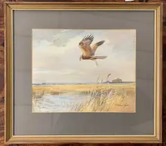 Marsh Harrier in flight over reeds by Roland Green, watercolour, sold Apr 2026