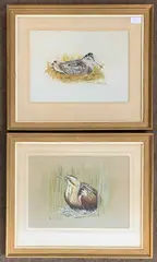 Snipe and Bittern by Rex Flood, 1971, gouache, sold Apr 2026