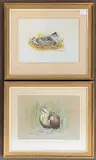 Snipe and Bittern by Rex Flood, 1971, gouache, sold Apr 2026