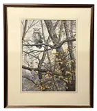 Long Eared Owl perched in an autumnal tree by Malcolm D. Allen, watercolour, offered Apr 2026