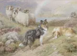 Sheep and Setters in a Highland setting by Basil Bradley, watercolour, offered Mar 2026