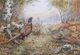 Pheasant and Partridge in an autumnal landscape by Carl Donner, watercolour and gouache, sold Mar 2026