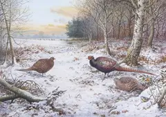 Pheasant by Carl Donner, gouache, sold Mar 2026