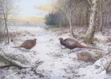 Pheasant by Carl Donner, gouache, sold Mar 2026