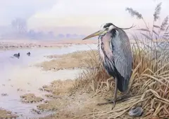 Heron on the marshland bank by Carl Donner, watercolour and gouache, sold Mar 2026