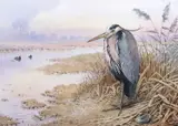 Heron on the marshland bank by Carl Donner, watercolour and gouache, sold Mar 2026