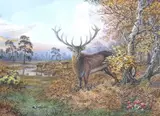 Stag and deer in an autumnal landscape by Carl Donner, watercolour and gouache, sold Mar 2026