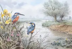 Kingfishers perched on the riverbank by Carl Donner, watercolour and gouache, sold Mar 2026