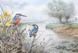 Kingfishers perched on the riverbank by Carl Donner, watercolour and gouache, sold Mar 2026
