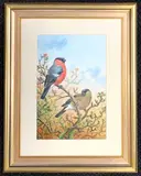 Finches rest on branch by Carl Donner, watercolour, sold Mar 2026