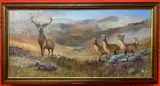Monarch of the Glen by David Feather, oil on board, sold Feb 2026