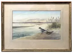 Teal on the bank by Richard Harrison, watercolour, sold Feb 2026