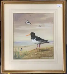 Oyster Catchers by Edward S. Billin, watercolour, sold Feb 2026