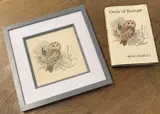 Tawny Owl study by Ian Willis, watercolour, sold Jan 2026