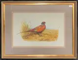 Ring Necked Pheasant in a field of corn by Carl Donner, 1977, watercolour, sold Jan 2026