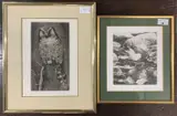 Dipper by Timothy John Greenwood, pencil, sold Jan 2026