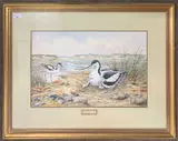 Avocets at Blakeney Point by Carl Donner, watercolour and gouache, sold Dec 2025
